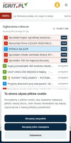 Sponsorlu makaleler için Polonya medyası IGRIT sitesinin önizlemesi