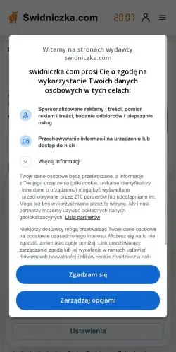Pré-visualização do site Świdniczka, meio de Polônia para artigos patrocinados
