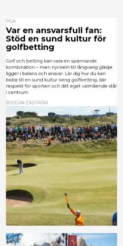 Anteprima del sito oddsvinst.se, media di Svezia per articoli sponsorizzati
