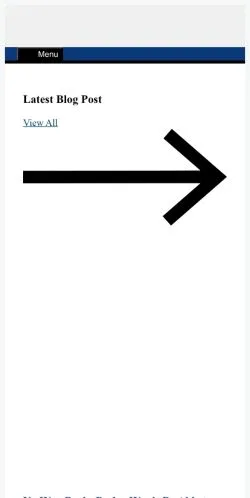 스폰서 기사용 미국 매체 ventsfanzine 사이트 미리보기