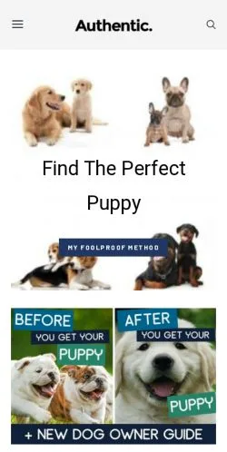 スポンサード記事向けのアメリカ合衆国メディア、PetBudgetのサイトプレビュー