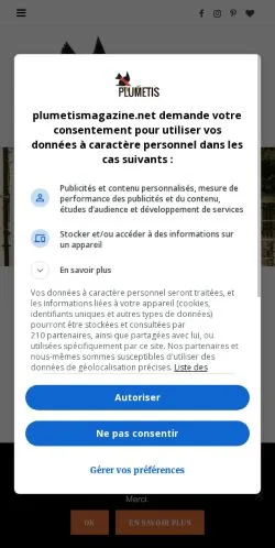 Anteprima del sito Plumetis Magazine, media di Francia per articoli sponsorizzati