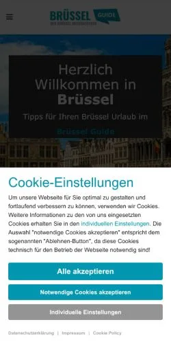 スポンサード記事向けのドイツメディア、Brüssel Guideのサイトプレビュー