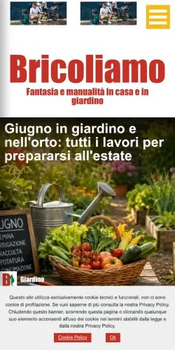 Anteprima del sito Bricoliamo, media di Italia per articoli sponsorizzati