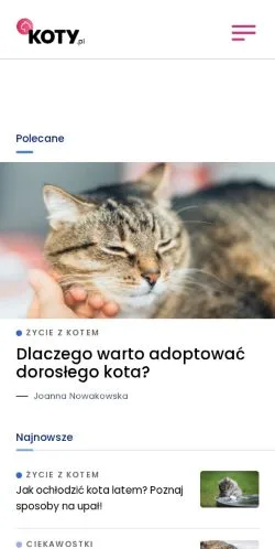 Podgląd witryny Koty, medium z kraju Polska do artykułów sponsorowanych