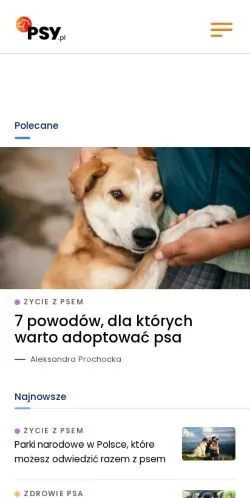 Forhåndsvisning af Psy, medie fra Polen til sponsorerede artikler