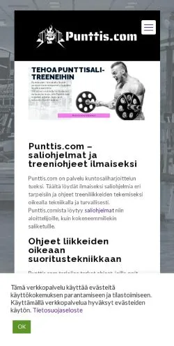 Preview of the Punttis website, a media outlet in Finland for sponsored articles