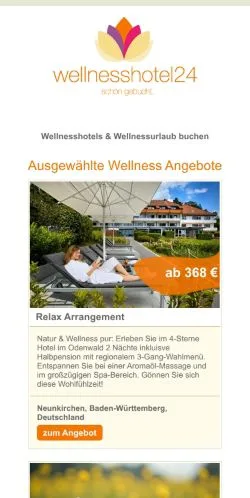 Podgląd witryny Wellnesshotel24, medium z kraju Niemcy do artykułów sponsorowanych