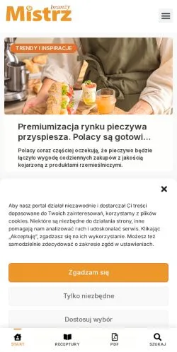 Anteprima del sito Mistrz Branży, media di Polonia per articoli sponsorizzati