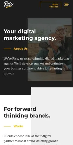 Sponsorlu makaleler için Amerika Birleşik Devletleri medyası Rise Marketing sitesinin önizlemesi