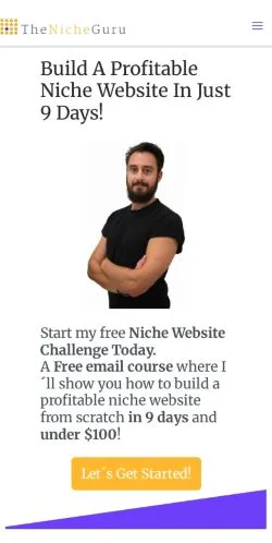 Anteprima del sito The Niche Guru, media di Stati Uniti per articoli sponsorizzati