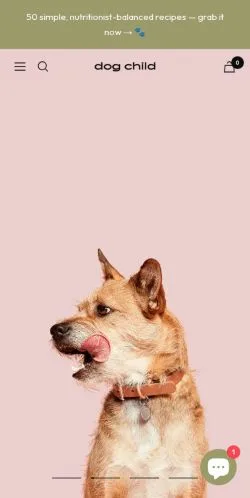 Vista previa del sitio Dog Child, medio de Estados Unidos para artículos patrocinados