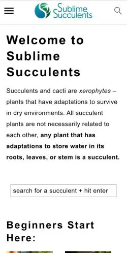 Anteprima del sito Sublime Succulents, media di Stati Uniti per articoli sponsorizzati