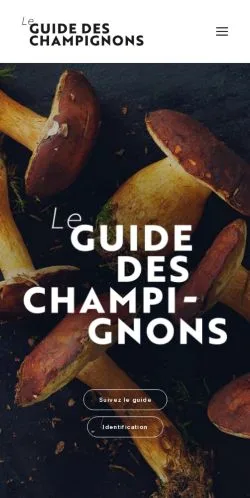 Sponsorlu makaleler için Fransa medyası Guide Des Champignons sitesinin önizlemesi