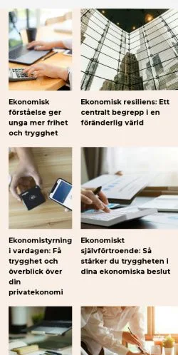 Anteprima del sito styrpengar.se, media di Svezia per articoli sponsorizzati