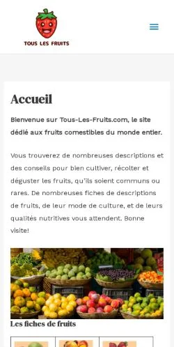 Anteprima del sito Tous Les Fruits, media di Francia per articoli sponsorizzati