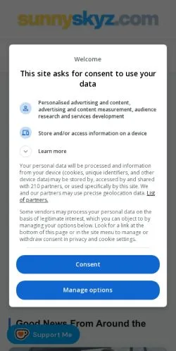 Anteprima del sito SunnySkyz, media di Stati Uniti per articoli sponsorizzati