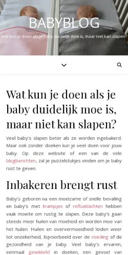 Podgląd witryny Baby Inbakeren, medium z kraju Holandia do artykułów sponsorowanych