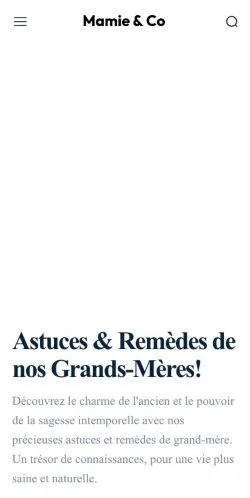 Anteprima del sito Mamie & Co, media di Francia per articoli sponsorizzati