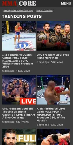 スポンサード記事向けのアメリカ合衆国メディア、MMA-Coreのサイトプレビュー