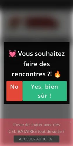 Forhåndsvisning af Blog Rencontre de PassionCommune, medie fra Frankrig til sponsorerede artikler