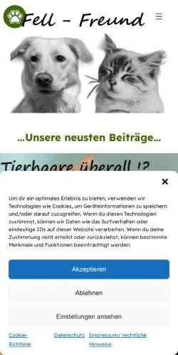 スポンサード記事向けのドイツメディア、Fell-Freundのサイトプレビュー