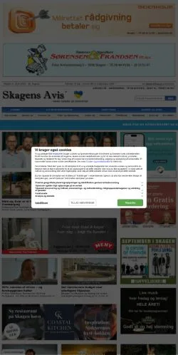 Podgląd witryny SkagensAvis, medium z kraju Dania do artykułów sponsorowanych