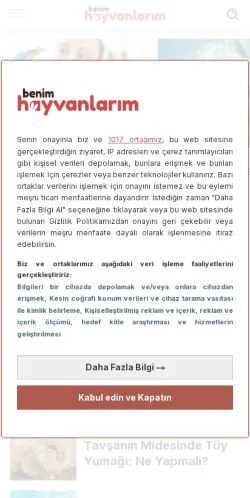Podgląd witryny My Animals, medium z kraju Turcja do artykułów sponsorowanych