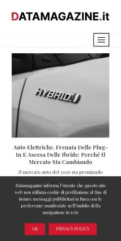 Anteprima del sito Datamagazine, media di Italia per articoli sponsorizzati