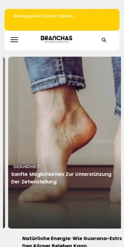 Preview of the Branchas website, a media outlet in Germany for sponsored articles