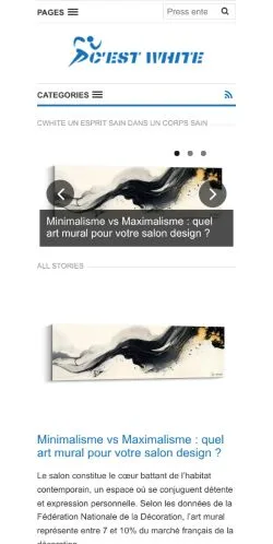 Sponsorlu makaleler için Fransa medyası c'est white - sitesinin önizlemesi