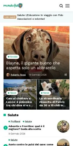 Anteprima del sito MondoFido, media di Italia per articoli sponsorizzati