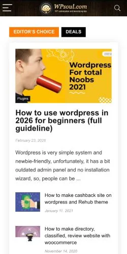 Preview of the WP Soul website, a media outlet in United States for sponsored articles