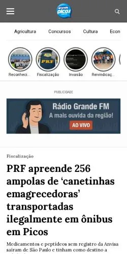 Anteprima del sito Portal Grande Picos, media di Brasile per articoli sponsorizzati