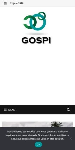 Podgląd witryny Gospi, medium z kraju Francja do artykułów sponsorowanych
