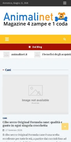 Vista previa del sitio AnimaliNet, medio de Italia para artículos patrocinados