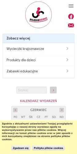 Podgląd witryny Silesia Dzieci, medium z kraju Polska do artykułów sponsorowanych