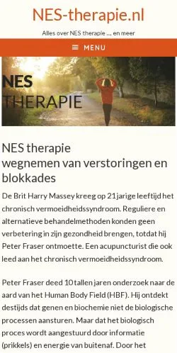 Anteprima del sito NES Therapie, media di Paesi Bassi per articoli sponsorizzati