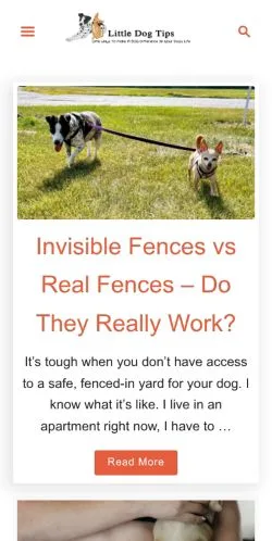 Forhåndsvisning af Little Dog Tips, medie fra USA til sponsorerede artikler