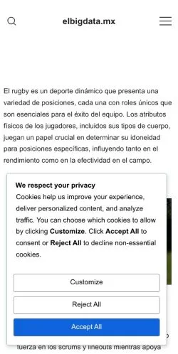 Forhåndsvisning av nettstedet El Big Data, medium fra Mexico for sponsede artikler