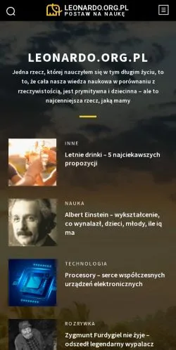 スポンサード記事向けのポーランドメディア、Leonardoのサイトプレビュー