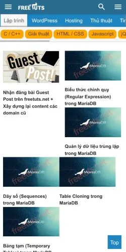Preview of the Freetuts website, a media outlet in Vietnam for sponsored articles