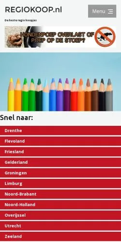 スポンサード記事向けのオランダメディア、Regiokoopのサイトプレビュー