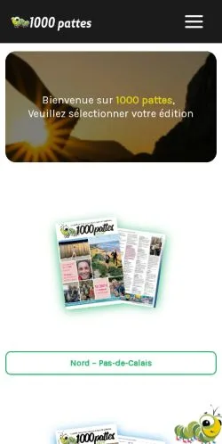 Anteprima del sito 1000 pattes, media di Francia per articoli sponsorizzati