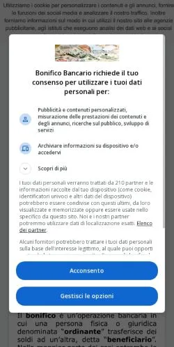 Anteprima del sito Bonifico Bancario, media di Italia per articoli sponsorizzati