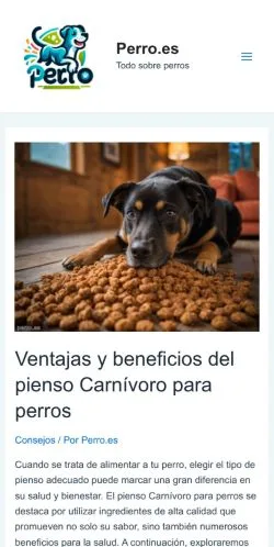 Forhåndsvisning af Perro, medie fra Spanien til sponsorerede artikler