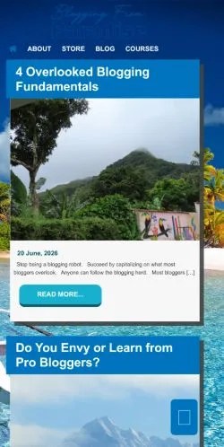 스폰서 기사용 미국 매체 Blogging From Paradise 사이트 미리보기