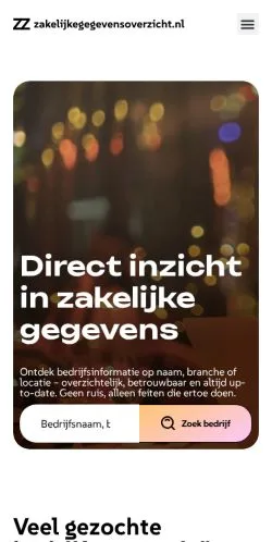 Podgląd witryny Zakelijke Gegevens Overzicht, medium z kraju Holandia do artykułów sponsorowanych