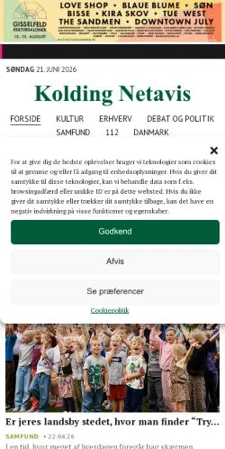 Anteprima del sito Kolding Netavis, media di Danimarca per articoli sponsorizzati