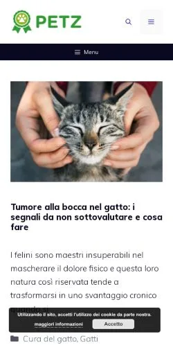 スポンサード記事向けのイタリアメディア、Petzのサイトプレビュー